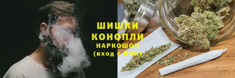 Каннабис OG Kush  Грайворон 